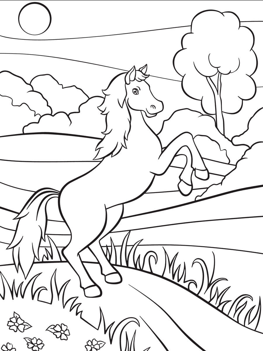 Comic Pferd Zeichnen