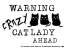 Wandtattoo Catlady Motivansicht