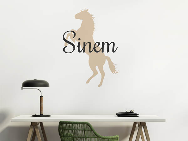 Wandtattoo Sinem mit Pferd